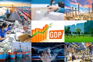 Ảnh minh họa.