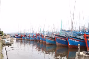 Ảnh minh họa.
