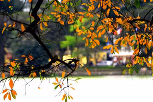 Ảnh minh hoạ.