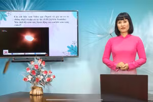 Cô Nguyễn Ngọc Thuý, Trường THCS Phan Chu Trinh (TP.Buôn Ma Thuột, Đắk Lắk) trong một giờ dạy Ngữ văn trên truyền hình.