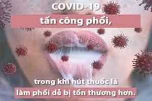 Ảnh minh hoạ/internet