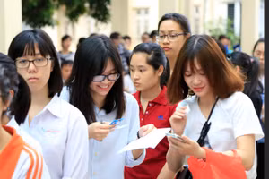 Ảnh minh họa 
