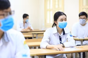 Ảnh minh hoạ/internet