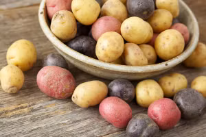  Nhiều người có thói quen mua quá nhiều khoai tây, nhưng chỉ sử dụng một ít và để phần còn lại trong nhà cả tháng. (Ảnh: ITN).