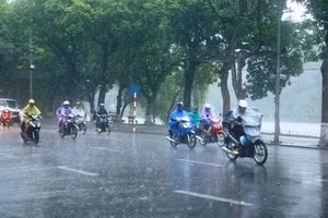 Ảnh minh họa.