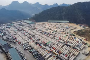 Xe chở hàng hóa ùn ứ tại khu vực cửa khẩu Tân Thanh, chờ nhiều ngày nhưng chưa thể thông quan. Ảnh: Người Lao Động.