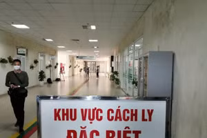 Ảnh minh họa.