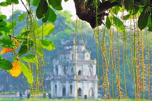 Ảnh minh hoạ.