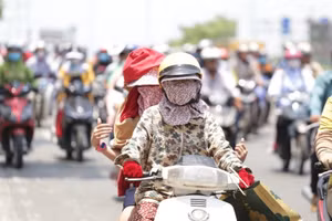 Ảnh minh hoạ.