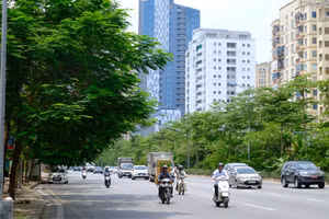 Ảnh minh họa..