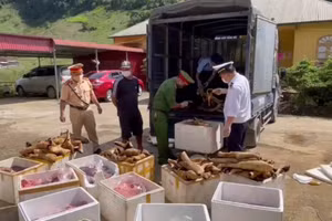 Cơ quan chức năng tiến hành kiểm tra sản phẩm và thu giữ. 