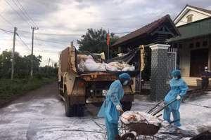 Cơ quan chức năng xử lý ổ dịch thứ 3 tại xã Ea Kao (TP Buôn Ma Thuột).