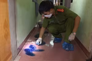 Ảnh minh họa.