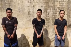 Vĩnh Phúc: Tạm giữ lái, phụ xe đánh đập, cướp tiền của khách