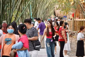 Ảnh minh họa.