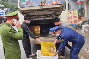 Phát hiện gần 4kg pháo trên xe khách.