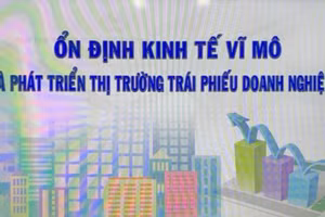 Cổng Thông tin điện tử Chính phủ tổ chức Tọa đàm trực tuyến với chủ đề "Ổn định kinh tế vĩ mô và Phát triển thị trường trái phiếu doanh nghiệp".