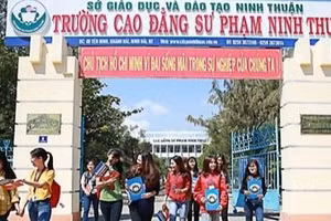 Ảnh minh họa.