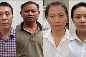 Nâng giá cây xanh ở Hà Nội gây thiệt hại “hàng chục tỷ đồng”