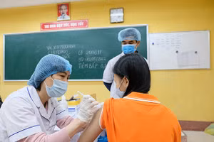 Ảnh minh họa.