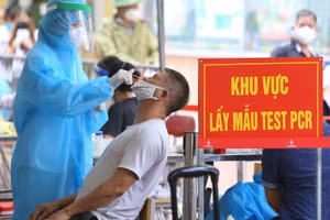 Ảnh minh họa.