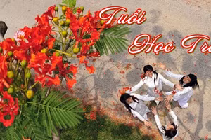 Ca khúc dự thi 91: Em mang theo mùa xuân