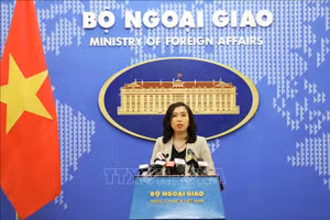 Người phát ngôn Bộ Ngoại giao Lê Thị Thu Hằng. Ảnh: Lâm Khánh/TTXVN