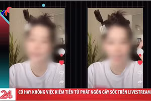 Nam Em bị VTV gọi tên sau loạt phát ngôn ồn ào