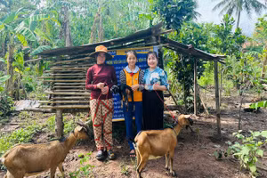 Mô hình nuôi dê mở ra hướng thoát nghèo cho nhiều gia đình học sinh.