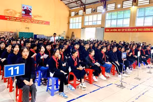 Ảnh minh họa.