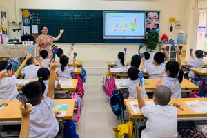Cô Nguyễn Thị Ngọc Ánh – Trường tiểu học Vĩnh Tuy (Hai Bà Trưng, Hà Nội) trong giờ lên lớp. Ảnh: NVCC.