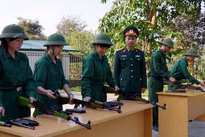 Ảnh minh họa