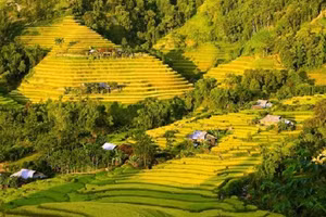 Ảnh minh họa.