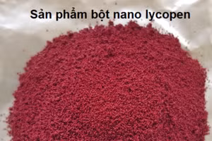 Bột nano siêu hoạt chất từ quả gấc