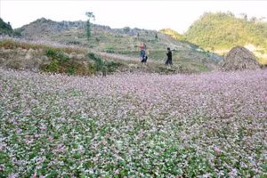Đến với bài thơ hay: Nghe câu quan họ trên cao nguyên