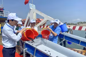 Tại buổi lễ, các đại biểu đã thả hơn 8 triệu con giống thủy sản có giá trị kinh tế xuống vịnh Bắc Bộ. 