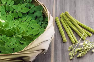 Một nghiên cứu cho thấy thực phẩm bổ sung có chứa chùm ngây khô và sen cạn có hiệu quả điều trị nhiễm trùng xoang và viêm phế quản. (Ảnh: ITN)