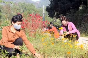 Những mô hình đường hoa của Hội LHPN tỉnh Điện Biên. Ảnh: Báo Điện Biên Phủ.