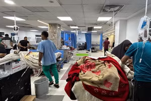 Chùm ảnh các bệnh viện ở Gaza bên bờ vực sụp đổ 