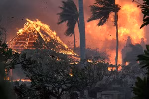 Minh họa/INT