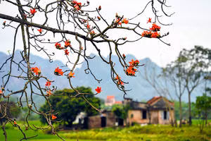 Tháng Ba, những nỗi nhớ xôn xao
