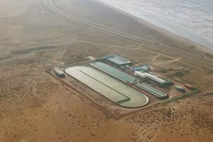 Khu vực trồng tảo của Brilliant Planet ở Akhfenir, Maroc. Ảnh: CNN
