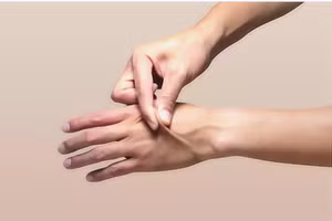 Da là cơ quan nặng nhất của cơ thể.