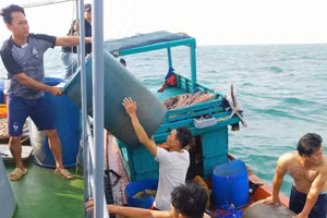 Ngư dân trên phương tiện bị nạn được đưa vào bờ an toàn.