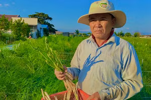 Ông Hùng Ky nông dân tỷ vùng đi lên từ hai bàn tay trắng.