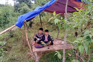 Xồng Bá Dần và Xồng A Thành học trực tuyến trên lán tạm ở bản Mường Lống, xã Tri Lễ, huyện Quế Phong, Nghệ An.