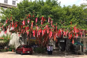 Cây điều ước trở thành điểm nhấn nghệ thuật, lan tỏa thông điệp về niềm tin, tình yêu thương đến học sinh thân yêu.