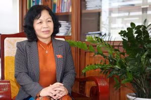 Đại biểu Quốc hội Nguyễn Thị Mai Hoa. Ảnh: NVCC