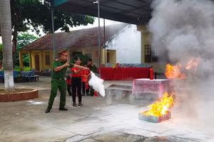 Ảnh minh họa