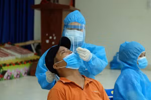 Ảnh minh họa. 